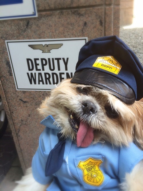 Deputy Dawg - meme