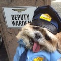 Deputy Dawg