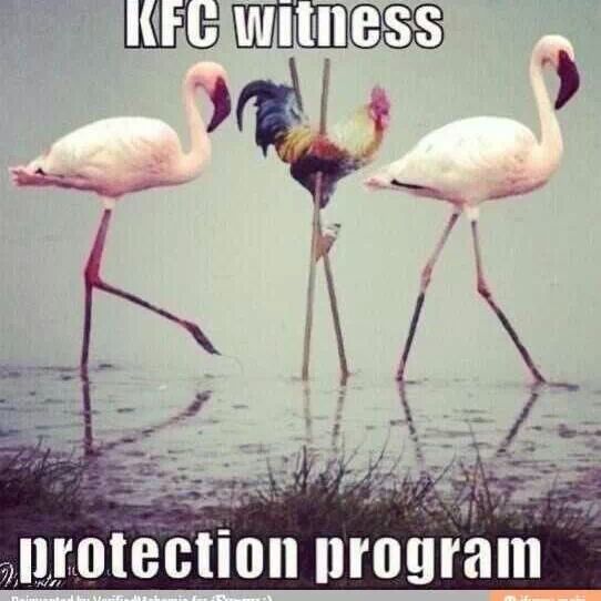 witness protection program x) - meme
