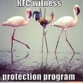 witness protection program x)