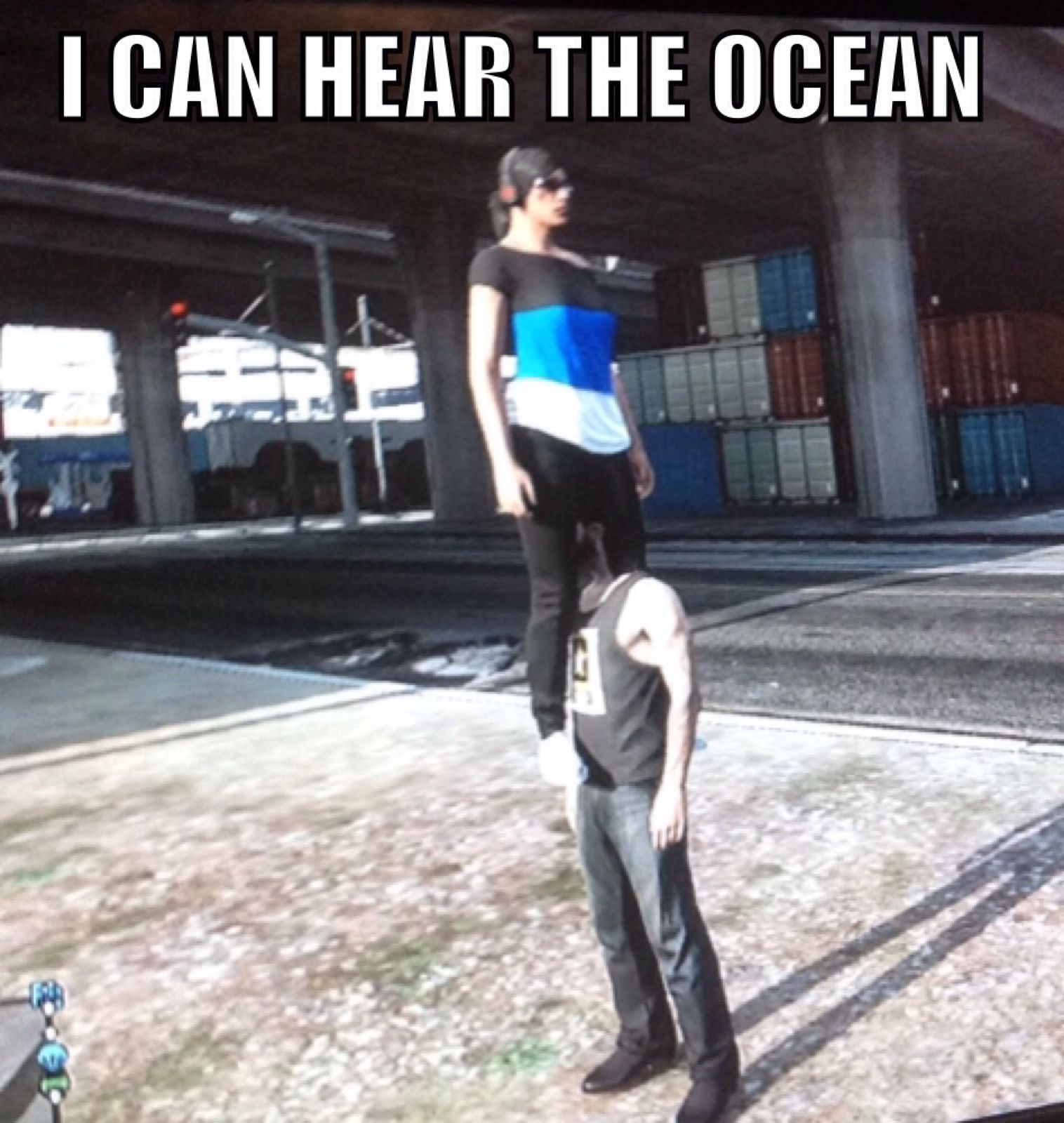 GTA 5 ocean  - meme