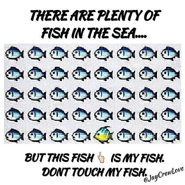 my fish! - meme