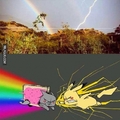Nyan cat Vs. Pikachu :3