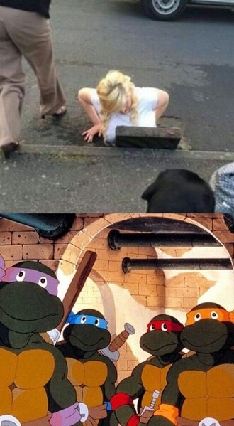 Do you like the old or the new version of TMNT - meme