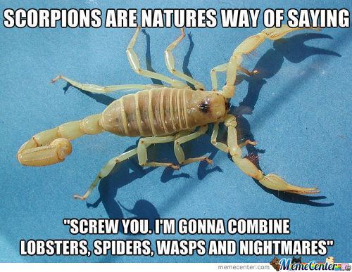 Scorpions ;) - meme