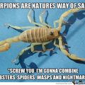 Scorpions ;)
