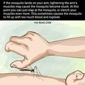 Make a mosquito explode