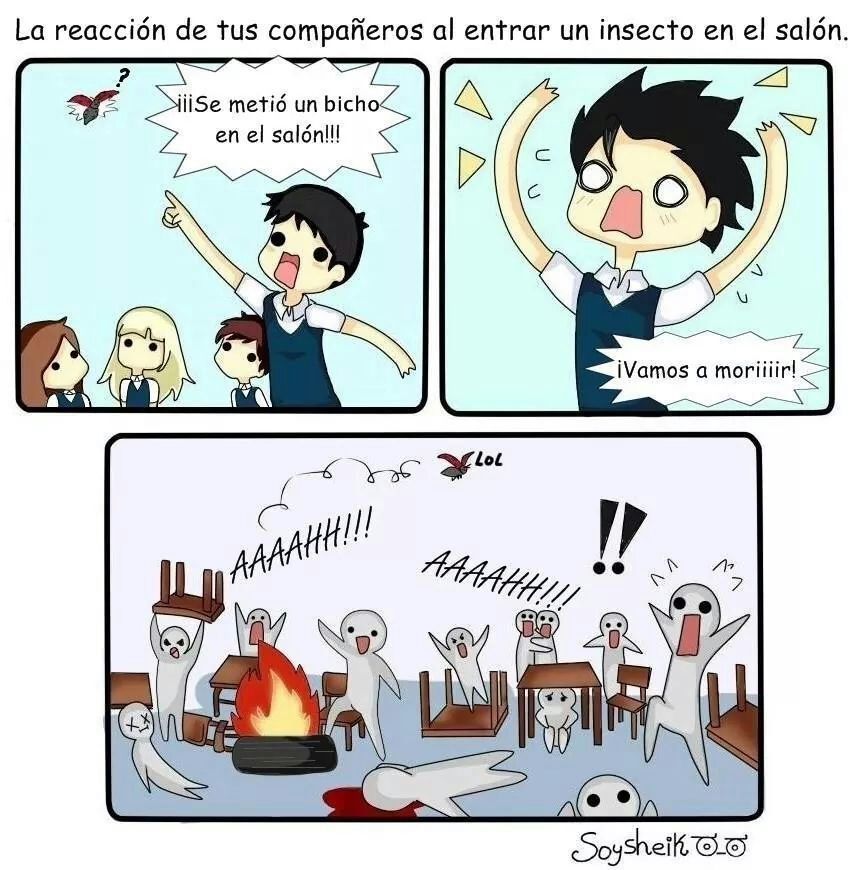 XD - meme