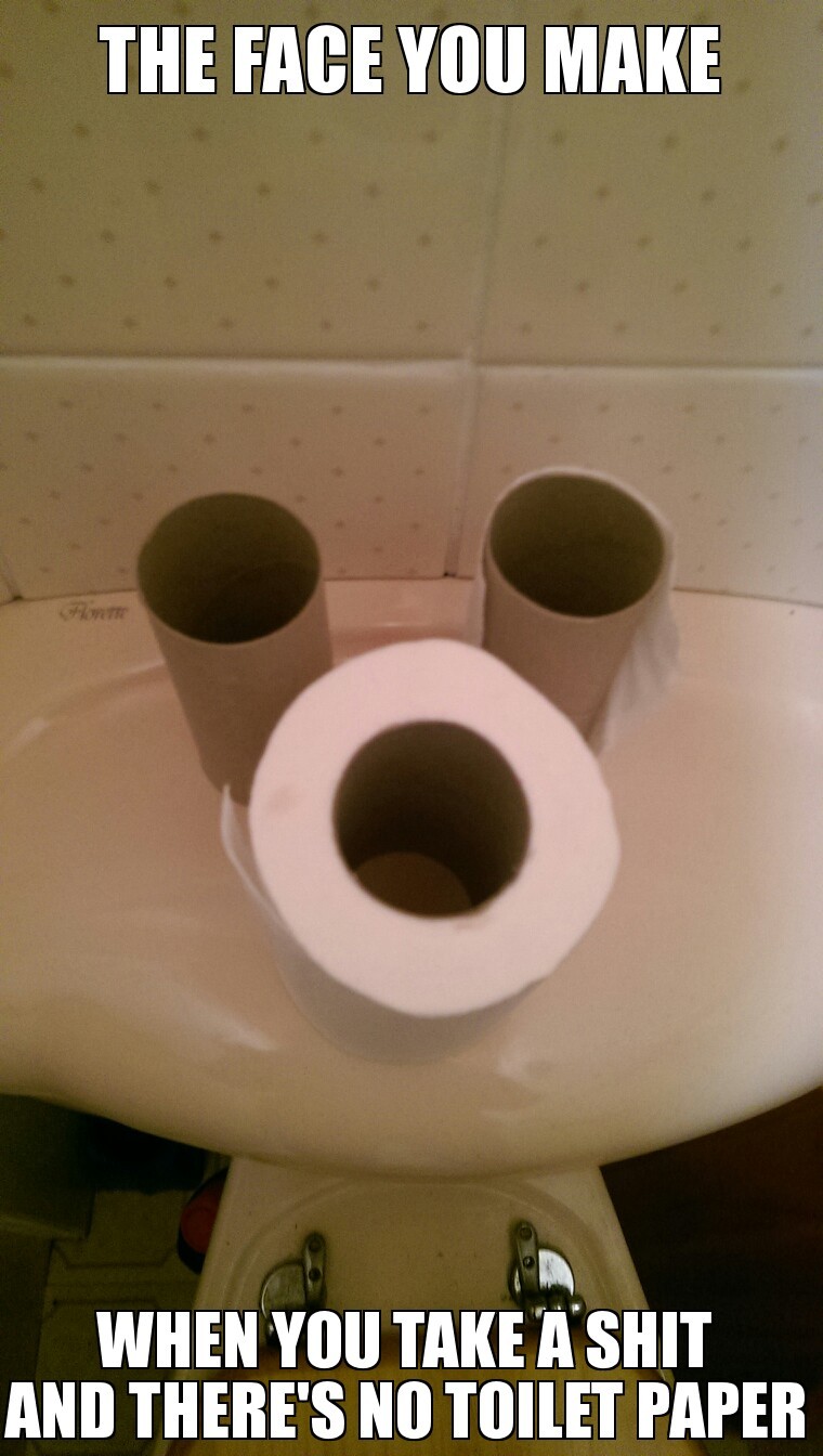 obviously there is toilet paper in my toilet - meme
