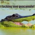 i fucking love guacamole