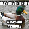 Bees will sting you once, then die.

Wasps will sting you until you die.

I'll take bees, thanks.