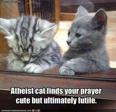 Atheist cat ♡ - meme