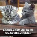 Atheist cat ♡
