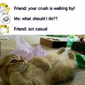 me in front of my crush ^_^