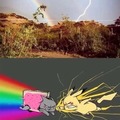 Rainbow hits the lightning majestic as f***!