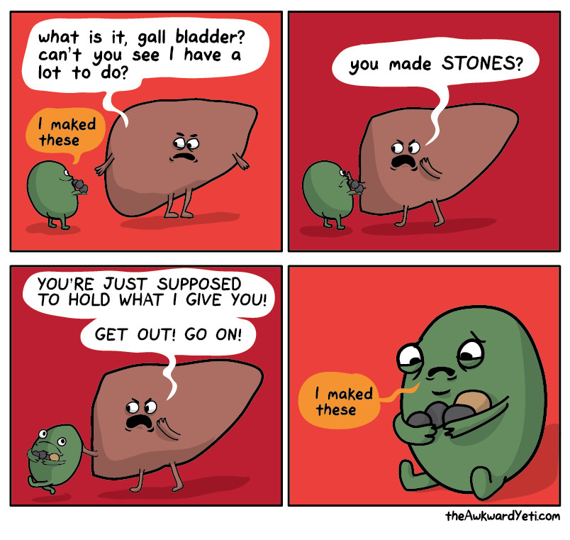 Liver dont got time fo yo shit, gallbladder. - meme