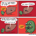 Liver dont got time fo yo shit, gallbladder.