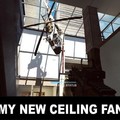 Expensive Ceiling Fan