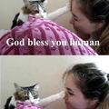 Cats are gods