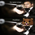Agent Bear