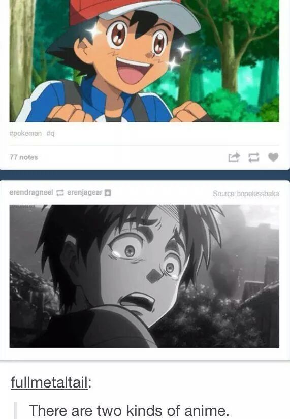 two types if anime - meme
