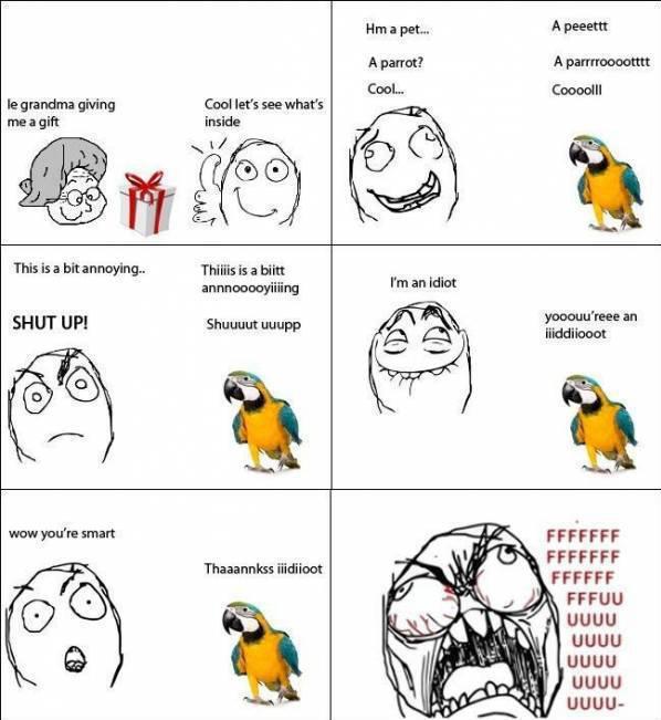 Parrot - meme