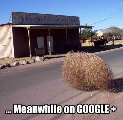 Google+ - meme