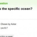 Specific Ocean