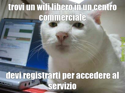 wifi - meme