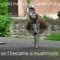 Mushroom donkey