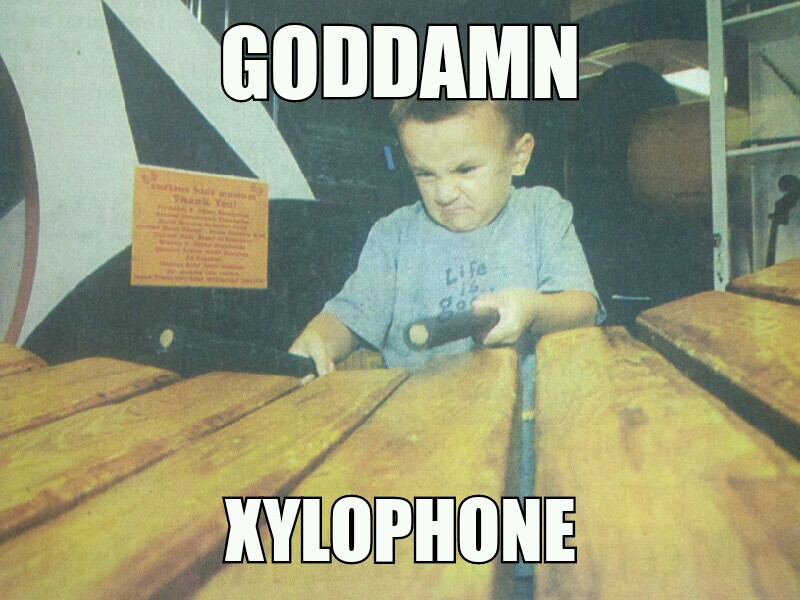 Angry xylophone playing bastard - meme