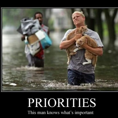 priorities. this man's got them - meme