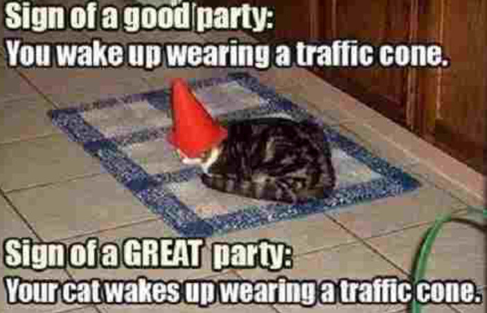 this cat knows how to party - meme