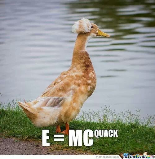 Einstein's soul in a duck ... - meme