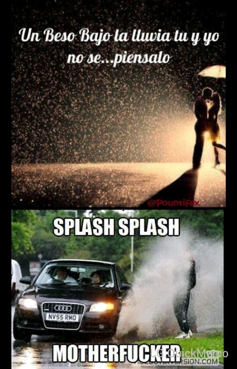 splash - meme