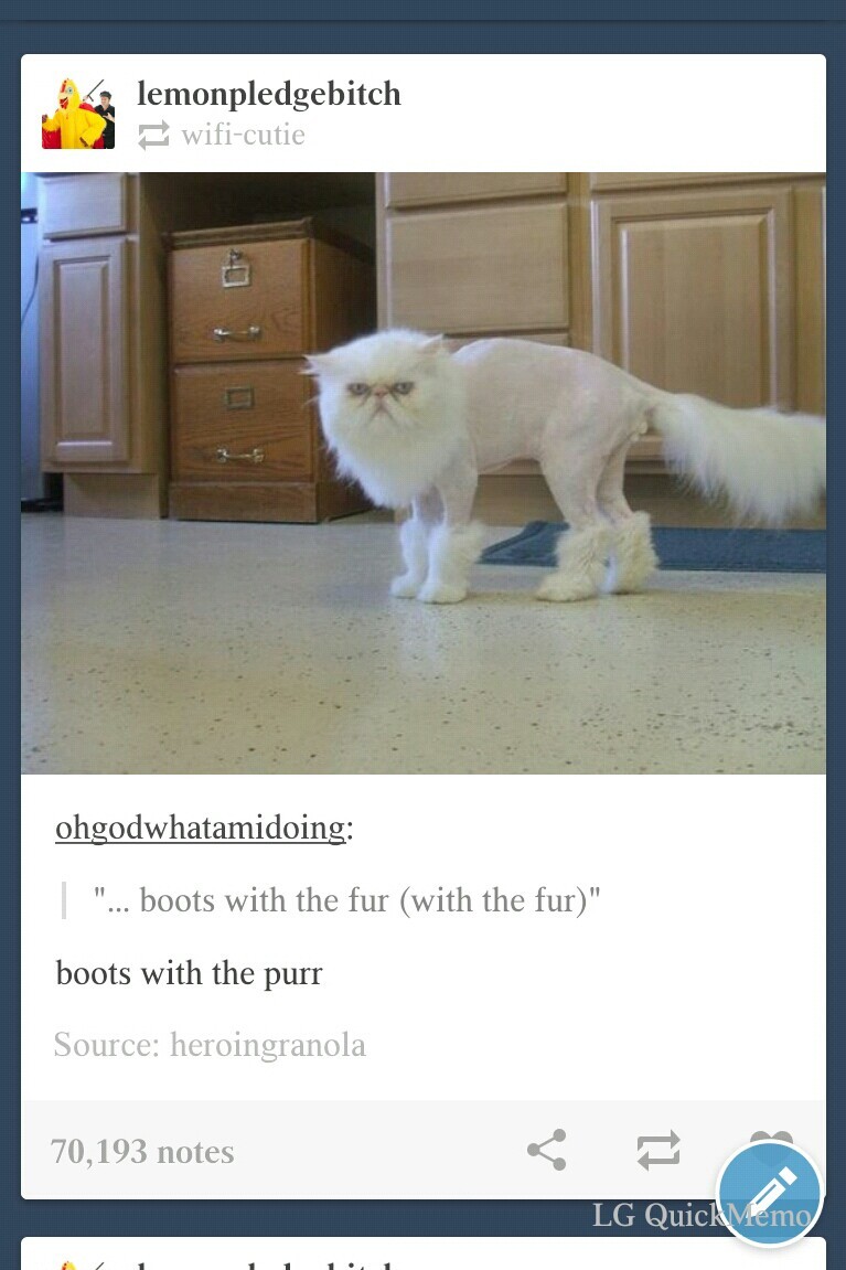 boots with the fur... - meme