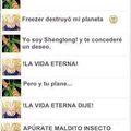 Insecto
