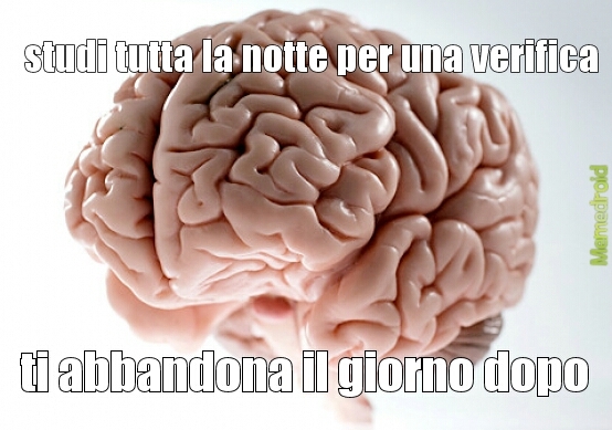 ogni voltaa - meme
