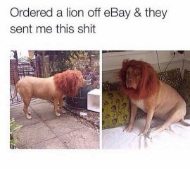 Who orders a lion? - meme