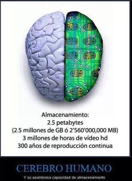 El increíble cerebro humano - meme