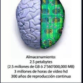 El increíble cerebro humano
