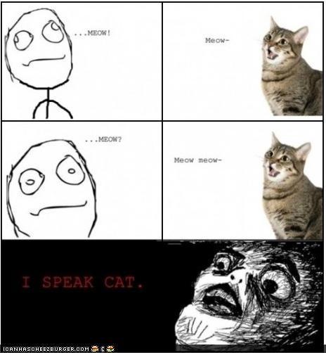my cat can talk english :) - meme