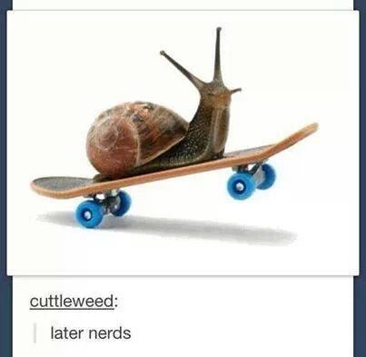 snail - meme