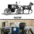 clever horses