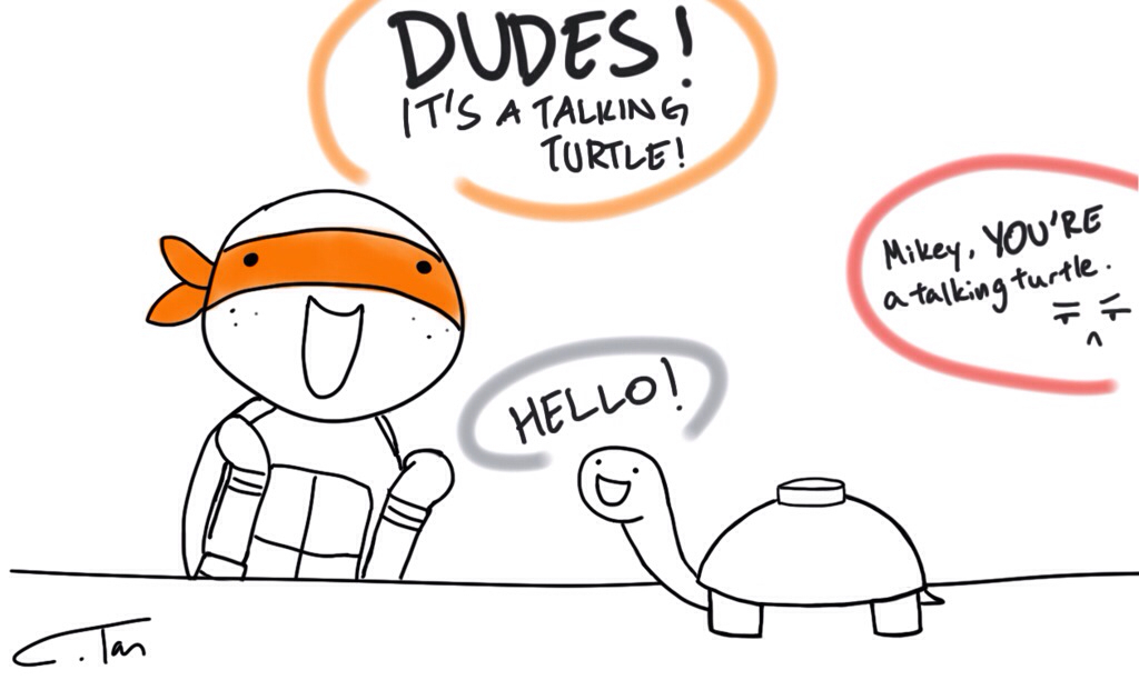 I like turtles :/ - meme