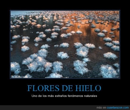 que bonito - meme