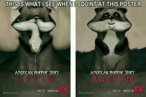 American Raccoon Story - meme