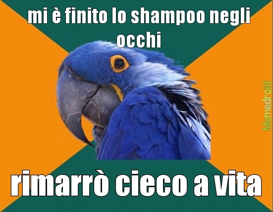 dannato shampoo - meme