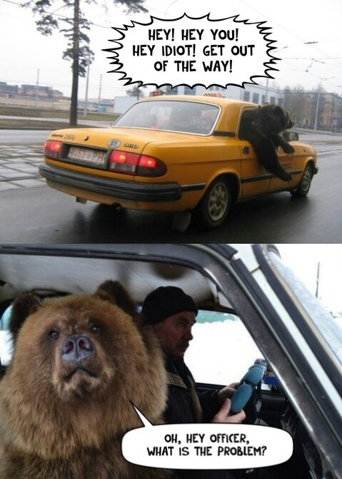 Bear on traffic - meme