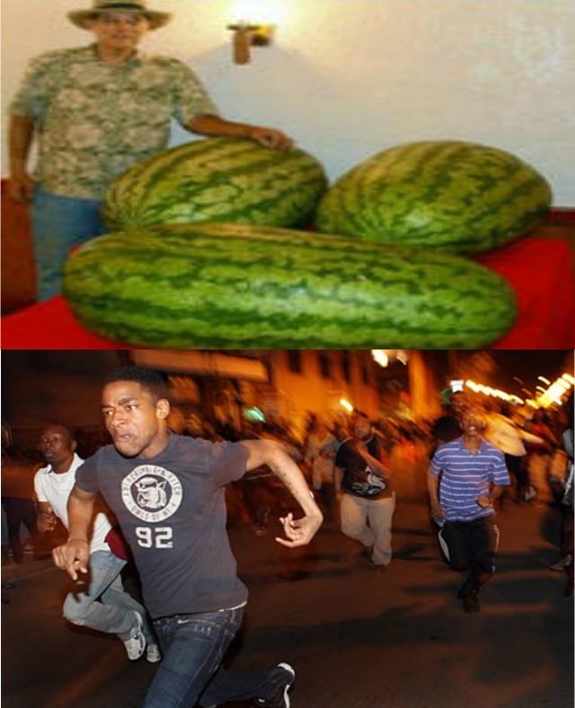 Oh watermelon - meme